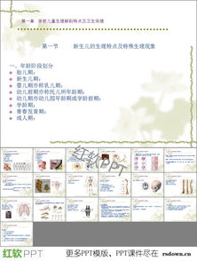 少年儿童的解剖生理特点与卫生ppt课件 米粒分享网 Mi6fx Com