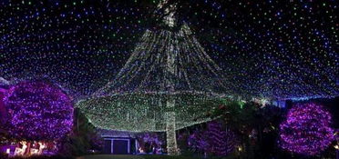 澳洲1家用33万支彩灯迎圣诞 破吉尼斯世界纪录 
