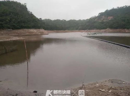 台州一水库施工挖出一样东西,警方迅速设警戒区域