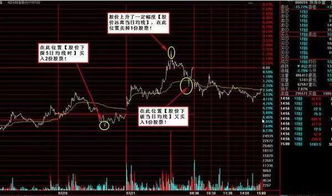 新上市的股票，第一天买的第二天能不能卖？