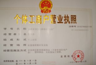 有限责任公司第一次股东会是在拿营业执照前开还是之后再开？