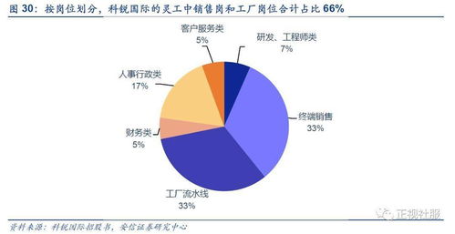 这算是一种什么样性质的公司?