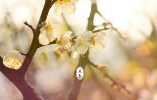 2月3日立春 一年之计在于春