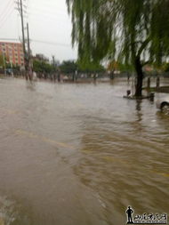 暴雨过后,风水轮流转海丰威豪积水了 