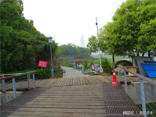 月湖景区环湖绿道在哪里,月湖公园在上海什么区