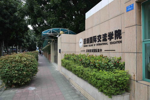 深国交国际学校学费 香港最好的国际学校排名