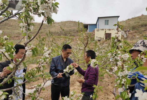 河南省农业广播电视学校是什么性质的单位
