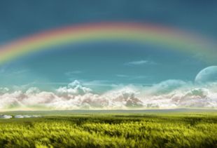 不经历风雨,怎能见彩虹的下一句是什么 