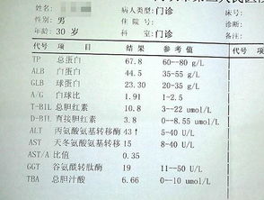 丙氨酸氨基转移酶