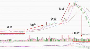 一只股票一般几个庄家能拉起来？