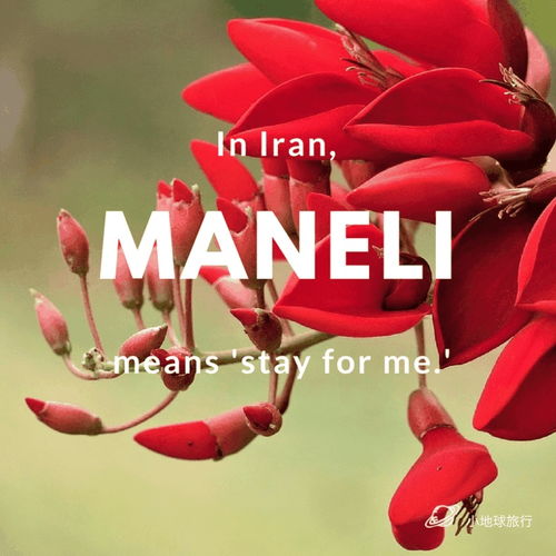 11个美丽的伊朗名字及其含义 