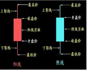 股票应该从什么着手。