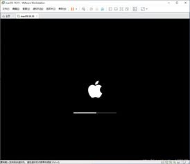 win10虚拟机安装macosx