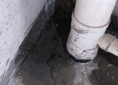 为何卫生间下水管道容易漏水 如何判断漏水的原因 看看这两点