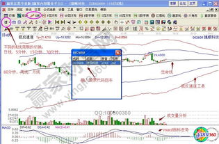 在软件上怎么调 出个股的 生命线