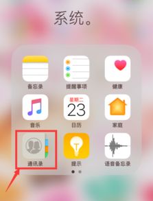 苹果手机怎样把通讯录设置在屏幕上 