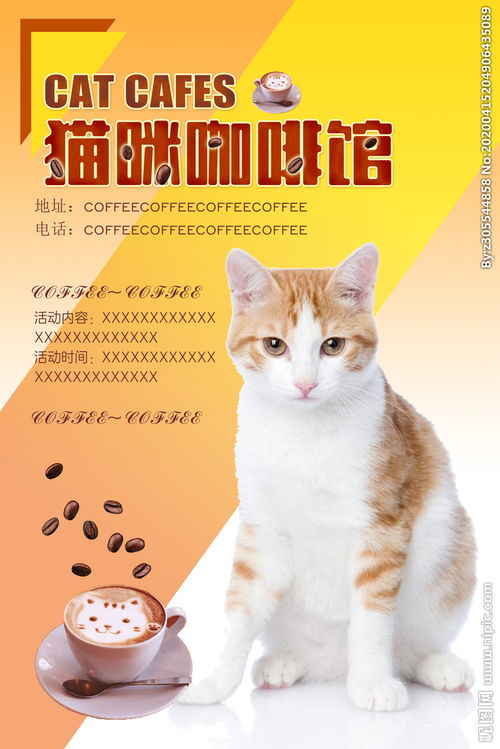 猫咪咖啡馆海报图片 
