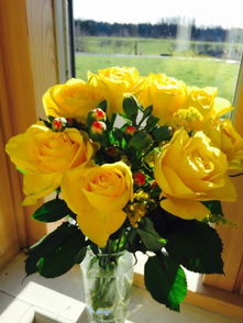 黄玫瑰代表寓意 黄玫瑰适合送什么人