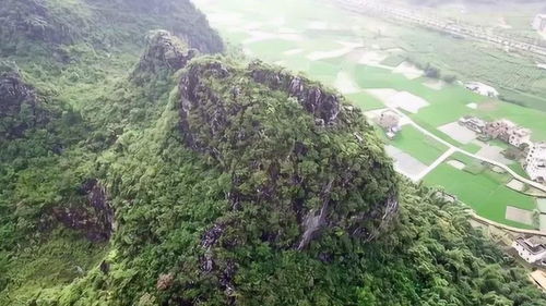 无人机航拍农村无意中发现,村民背靠高山建房子,都是好风水 