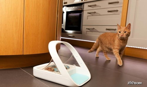 高科技养猫 猫咪刷脸食盆,自动猫砂盆,但是真的好用吗