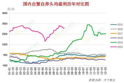 豆粕的涨跌和什么有关系