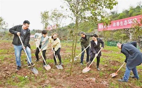 两岸青山 千里林带 建设如火如荼 春风十里植新绿 共护碧水向东流