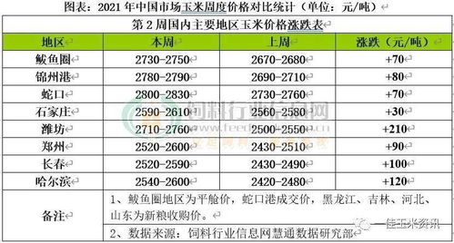 当前吊瓜子收购价格查询