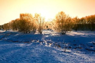 12月国内摄影地推荐 国内雪景最美的4个摄影圣地,我去第三个,你去哪个