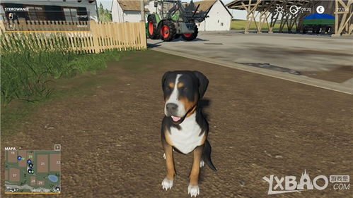 模拟农场19小狗获得方法 模拟农场19小狗该怎么获得 