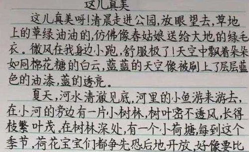 写作业字体推荐(写作业的写字)