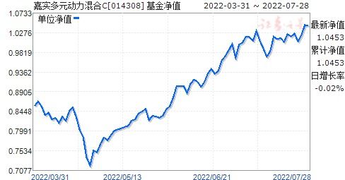 嘉实多元