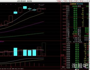 怎么才可以通过网络来观察股票?