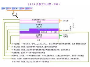 黑箱交易员分析软件到底是个什么鬼，是传销