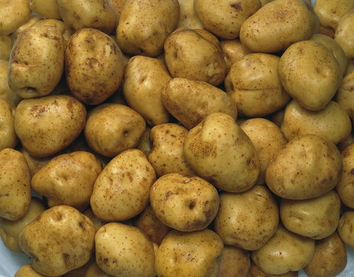 关于农民卖土豆难的诗句