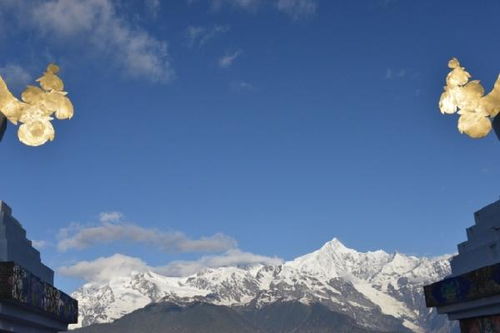 梦里雪山 