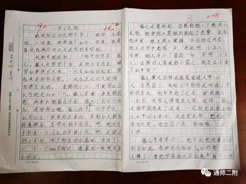 小螺的作文