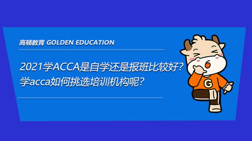 如何发挥中介机构作用 如何发挥中介机构作用资讯 高顿教育资讯搜索 第1页 