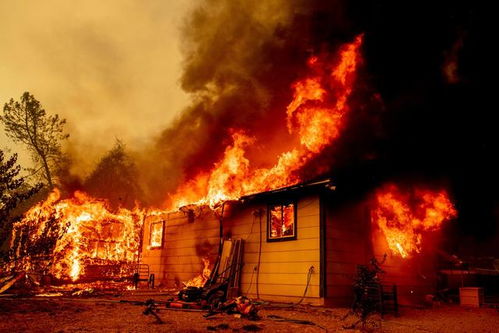 美国一女子野外煮熊尿喝引发山火 数千居民被强制疏散 