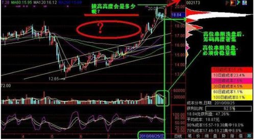 股票：非常分散，较分散，较集中，非常集中各是多少比例?