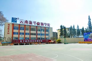 云南省经济管理学院，云南新华电脑学校的航空专业怎么样