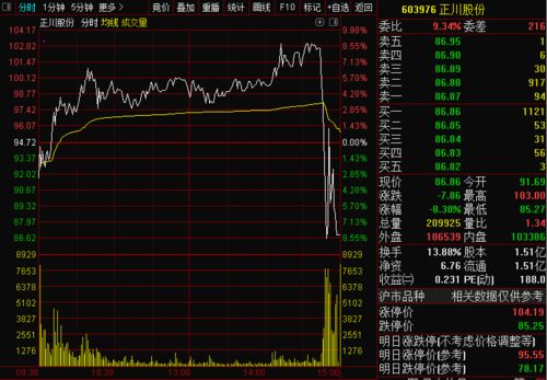 25万股民看呆 这只翻倍股尾盘6分钟一度闪崩17 ,多股诡异跳水 真相是......