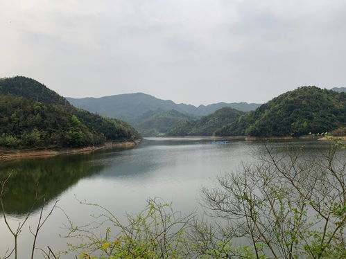 风水先生在黑石寨看了块地,之后蒋氏先祖迁到了韶山