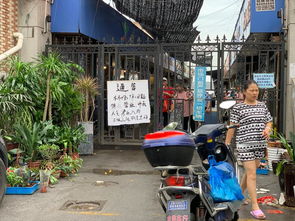 活的都带走 五角场花鸟市场关闭,上海的花鸟市场都留不住了吗