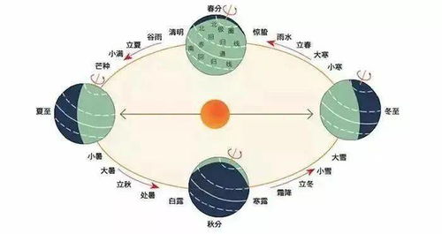 拾遗手作 当中式团扇和西式压花撞个满怀,这周六,邀你体验不一样的非遗,感受指尖上的春分 节气 