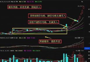 股票公布业绩前一天买入股票会有红分吗?