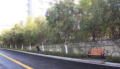 枣庄薛城临泉巷 龙泉巷已完成改造提升