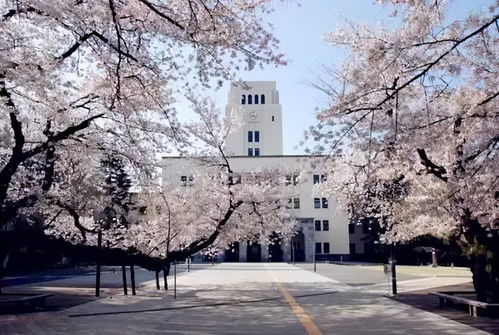 东京工业大学自考难吗,日本的东京工业大学，名古屋大学，名古屋工业大学，静冈大学那个相对好考一些？(图3)