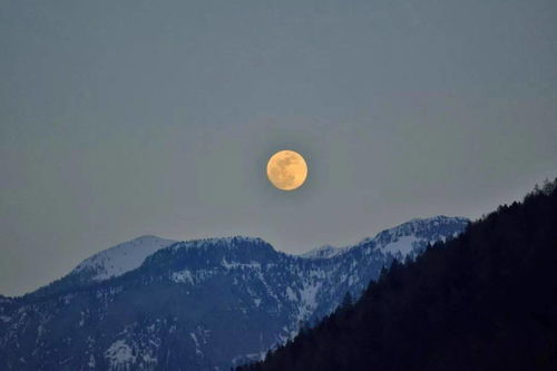 杜甫写的关于月亮思念家乡的诗句有哪些