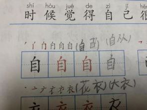 话题丨 四 字第二笔到底咋写 朋友圈又炸了