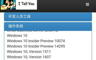 我告诉你安装win10